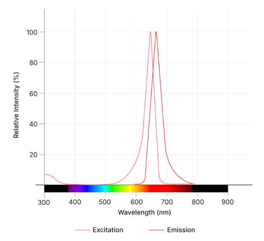 Janelia Fluor® 635b, Maleimide Dye Spectra