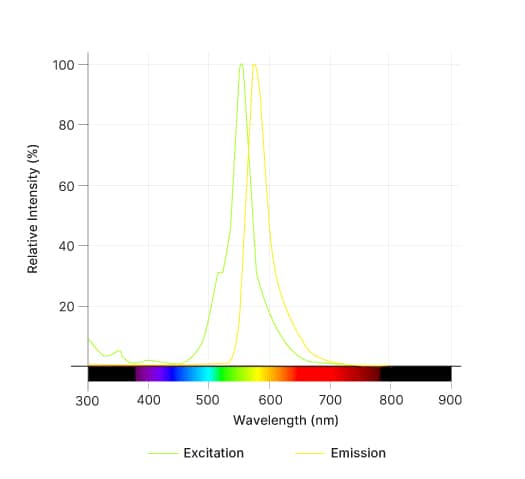 JFX™ 554, Maleimide Dye Spectra