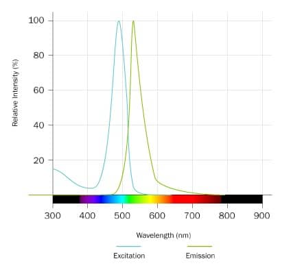 JQ1-FITC Dye Spectra