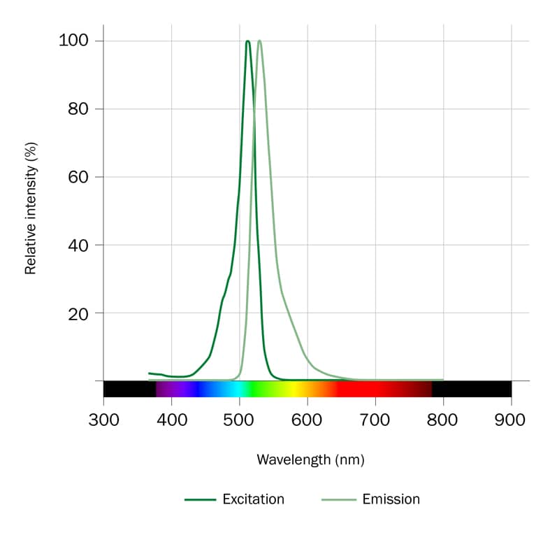 Kyoto Probe-1 Dye Spectra