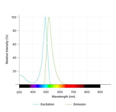 Mpro Tracer Dye Spectra