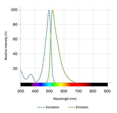 Nucleic Acid Dye Green I (7246) by Tocris, Part of Bio-Techne