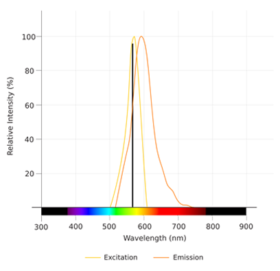 NucleoLIVE™ Non-Toxic Dye Dye Spectra