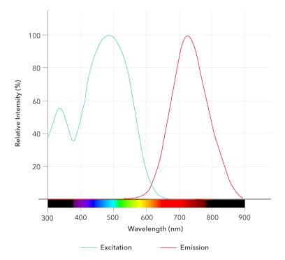 QM-FN-SO3 Dye Spectra