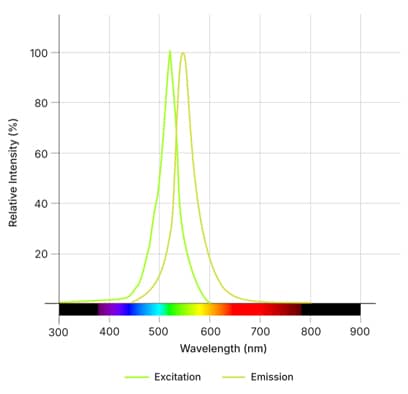 Rhobo6 ECM Dye Dye Spectra
