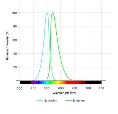 SALAD1 Dye Spectra