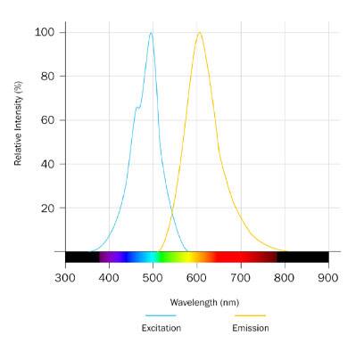 SCOTfluor lactic acid probe 510 Dye Spectra