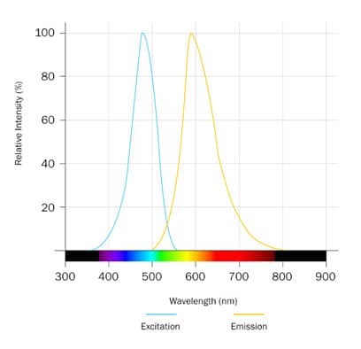 Se-NADA Dye Spectra