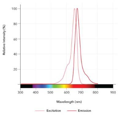 sCy5DL-amide Dye Spectra