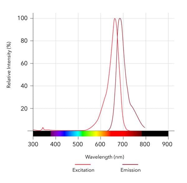 SMCy 5.5 Dye Spectra