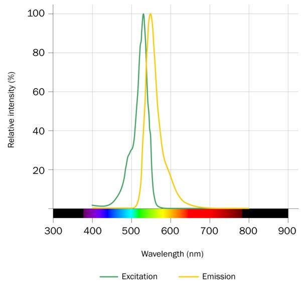 Taxol Janelia Fluor® 526 Dye Spectra