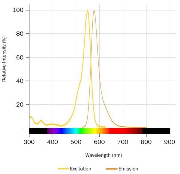 Taxol Janelia Fluor® 549 Dye Spectra