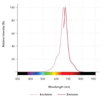 Thalidomide-Cyanine 5 Dye Spectra