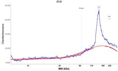Simple Western: stonin-2 Antibody [NBP1-90658]