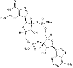 Endogenous high affinity STING agonist