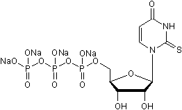 Potent and selective P2Y2 agonist