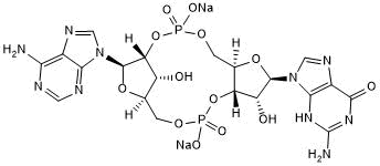 Induces expression of STING and STING-related genes; antiviral