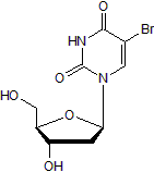 Synthetic thymidine analog; used for cell proliferation assays