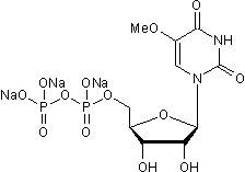 Potent P2Y6 agonist