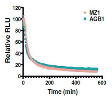 Live-cell luminescent kinetic degradation assay