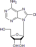 Cytotoxic nucleoside analog; inhibits RNA synthesis