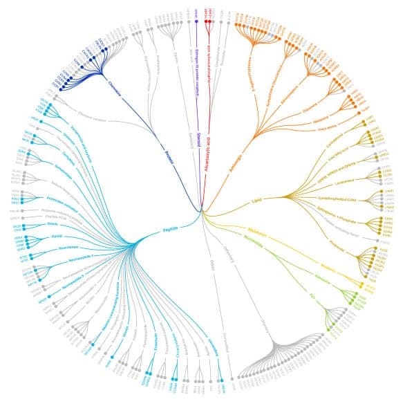 Class A GPCR phylogenetic tree illustrating the pharmacological diversity of the Tocriscreen GPCR Compound Library.