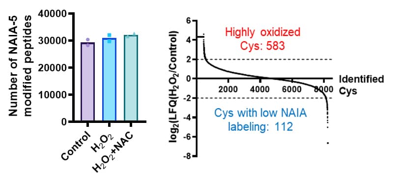Application for NAIA for Mass spectrometry experiment