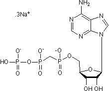 Non-selective P2 agonist