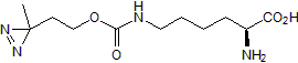 Photo-crosslinking probe; unnatural amino acid