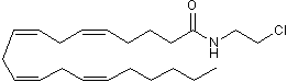 Potent and highly selective CB1 agonist