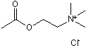 Endogenous neurotransmitter