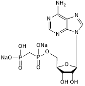 Ecto-5&#039;-nucleotidase (CD73) inhibitor