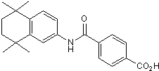 RAR&#945; agonist; anticancer agent