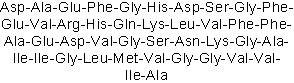 Predominant amyloid &beta;-protein fragment