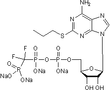 Potent and selective P2Y12 antagonist