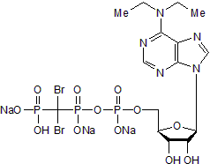 NTPDase inhibitor