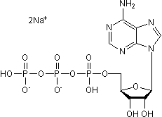 P2 agonist