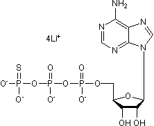 Non-selective P2 agonist; analog of ATP (Cat. No. 3245)