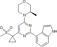 Potent and selective ATR kinase inhibitor; antitumor