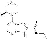 Potent and selective MTH1 inhibitor