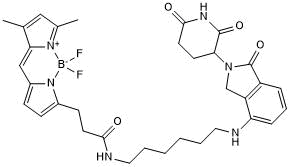 Fluorescent cereblon ligand