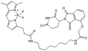 High affinity fluorescent probe for TR-FRET cereblon binding assay