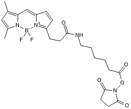 Green BDY (BODIPY® or boron-dipyrromethene) fluorescent dye for the labeling of amines; supplied as NHS ester