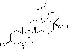 Antitumor and anti-HIV agent; activates NF-&#954;B. Also TGR5 agonist