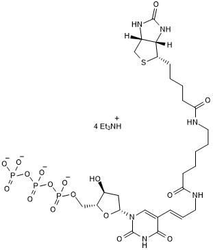 Biotin-labeled dUTP