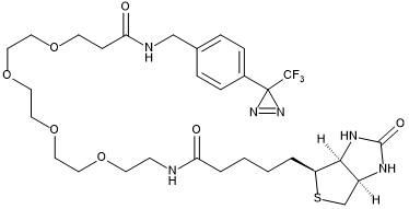 Photo-crosslinking capture probe for deazaflavin-diazirine energy-transfer labelling (DarT labelling) with a biotin handle