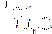 Selective P2X4 allosteric antagonist