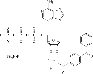 Photoaffinity label for ATPase; also P2X7 agonist and P2X1/P2Y1 partial agonist