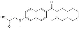 Two-photon polarity-sensitive lipid membrane probe