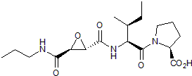 Selective cathepsin B inhibitor